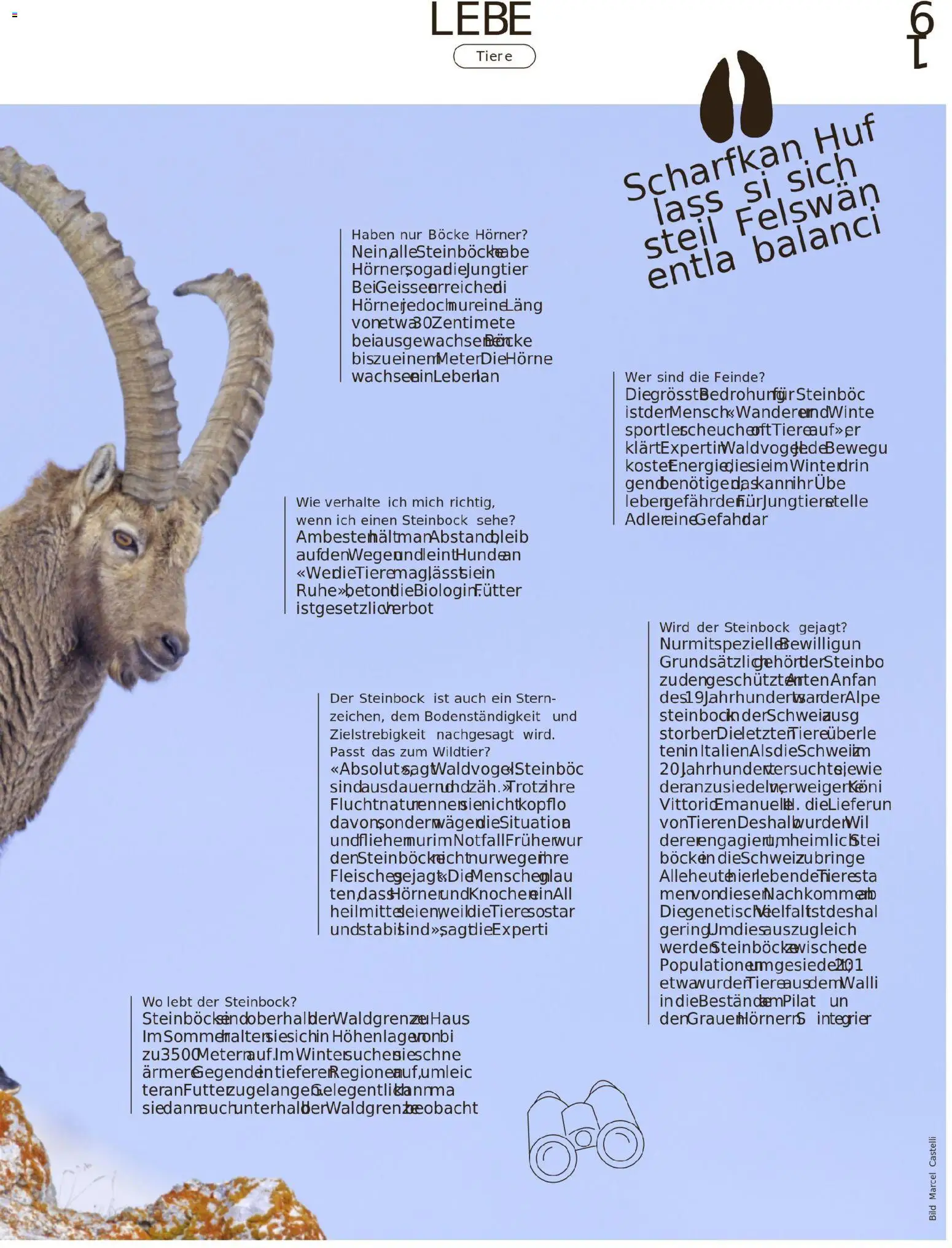 Migros Migros-Magazin-44-2025-d-AA – gültig ab 27.10.2025 | Seite: 61