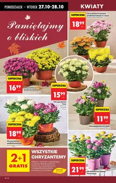 Pogląd oferty "Biedronka gazetka" - ważna od 27.10.2025 | Strona: 18
