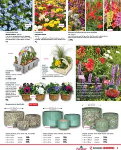 Náhled letáku Bauhaus leták od 06.03.2026 | Strana: 3