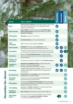 Lagerhaus Fürs Leben am Land ab 01.11.2025 gültig | Seite: 11 | Produkte: Hut, Petersilie