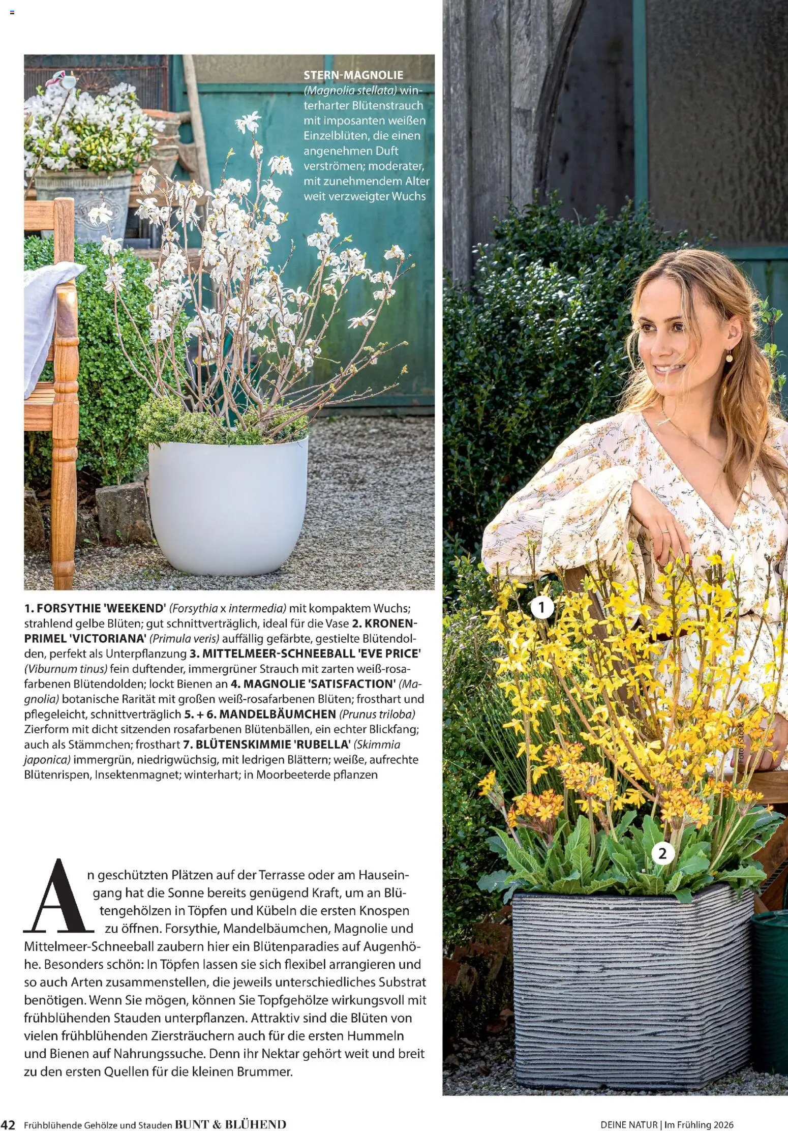 Dehner Flugblatt gültig ab 05.03.2026 | Seite: 42 | Produkte: Vase, Duft