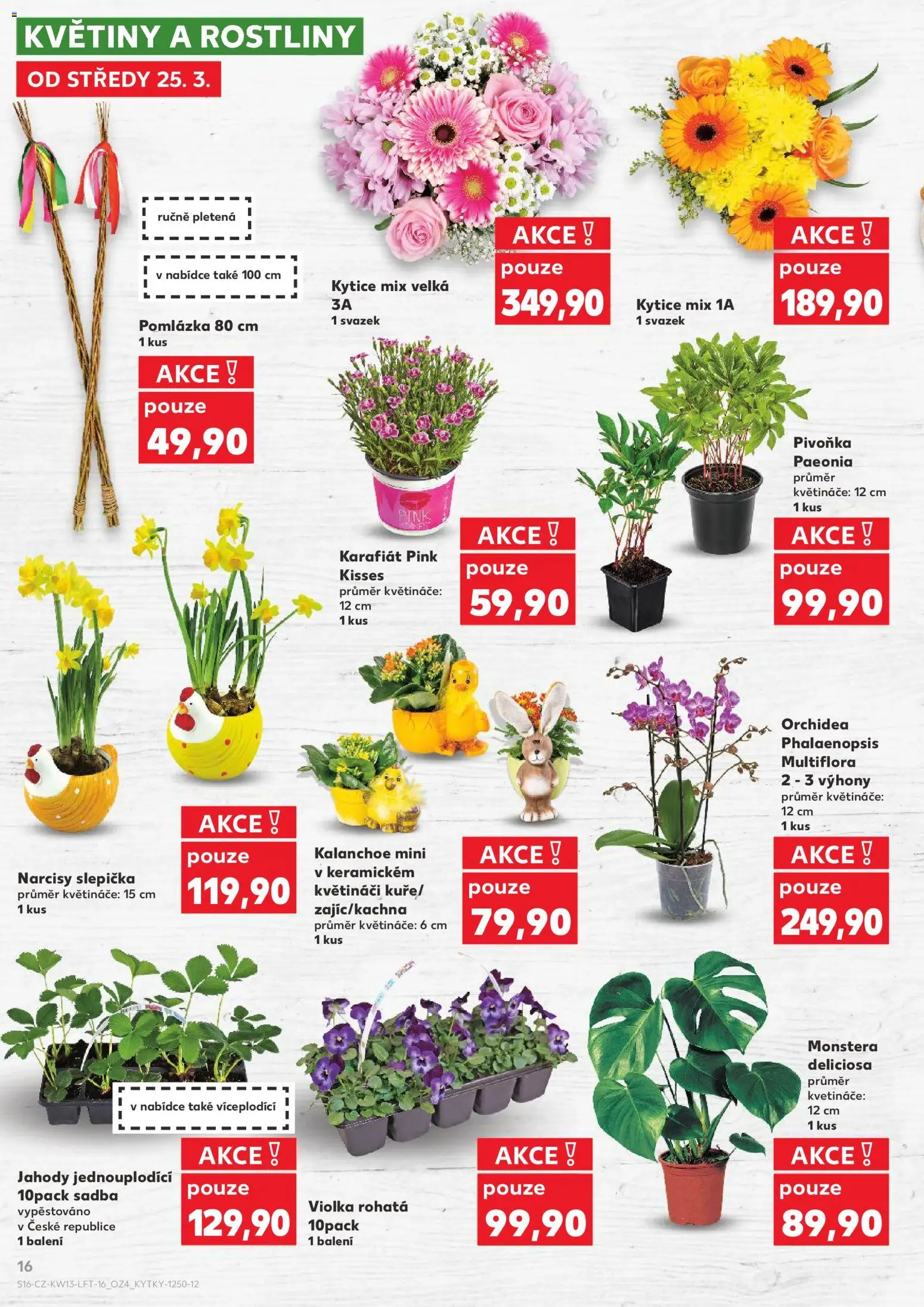 Kaufland leták - Brno od 25.03.2026 | Strana: 16 | Produkty: Monstera, Květináče, Rostliny, Květiny