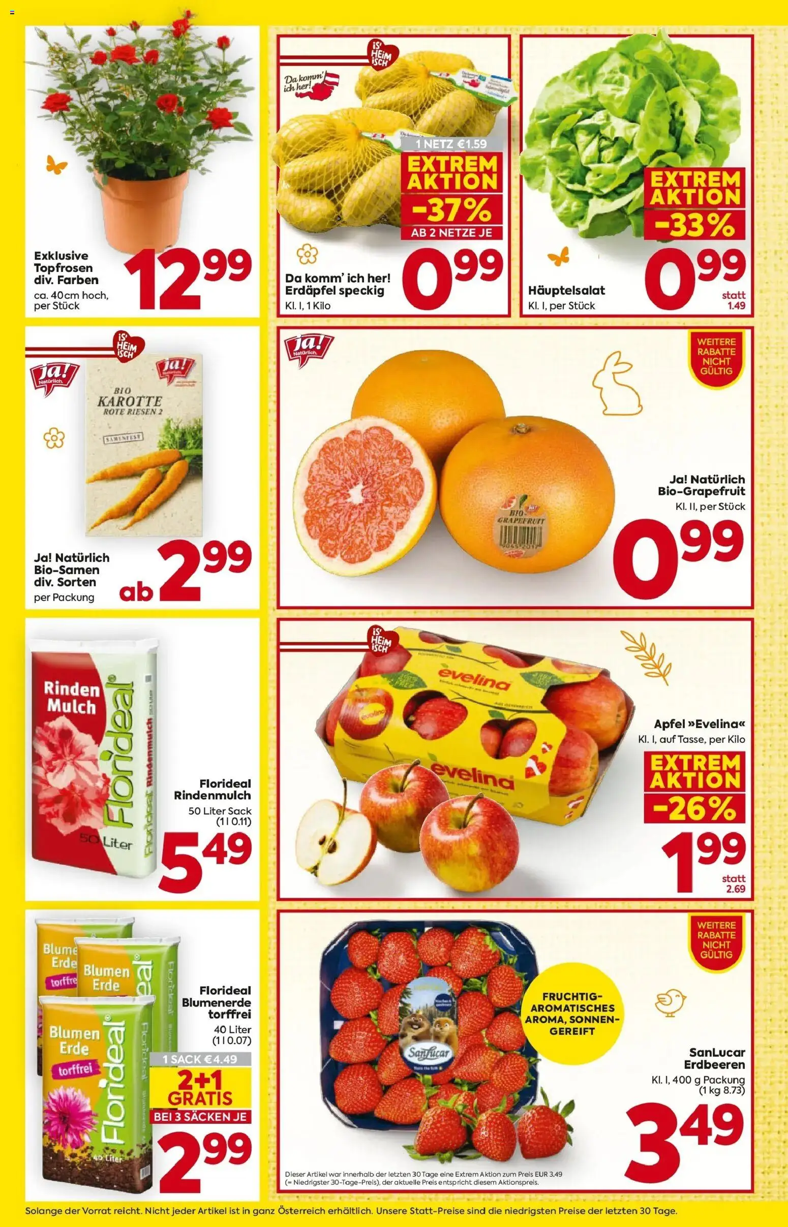 Billa Flugblatt - Bad Radkersburg, Ramsau, Fehring gültig ab 19.03.2026 | Seite: 10 | Produkte: Erdbeeren, Karotte, Grapefruit, Äpfel