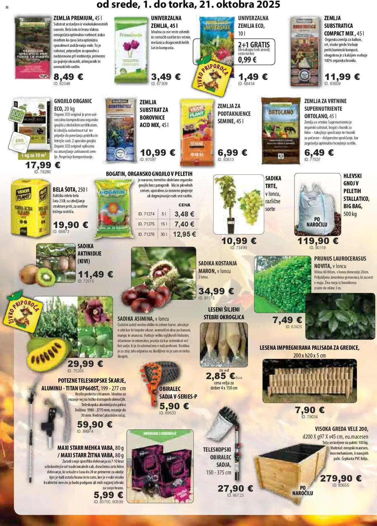Novi Živex katalog ponudbe – veljaven od 01.10.2025 | Stran: 2 | Izdelki: Žemlja, Teza, Kos, Borovnice