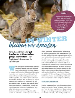 Fressnapf Magazin ab 01.11.2025 gültig | Seite: 38 | Produkte: Insgesamt, Gemüse, Eis, Uhr