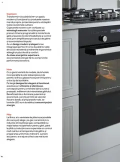Noul catalog Brico Depot – valabil de la 15.08.2024 | Pagină: 14