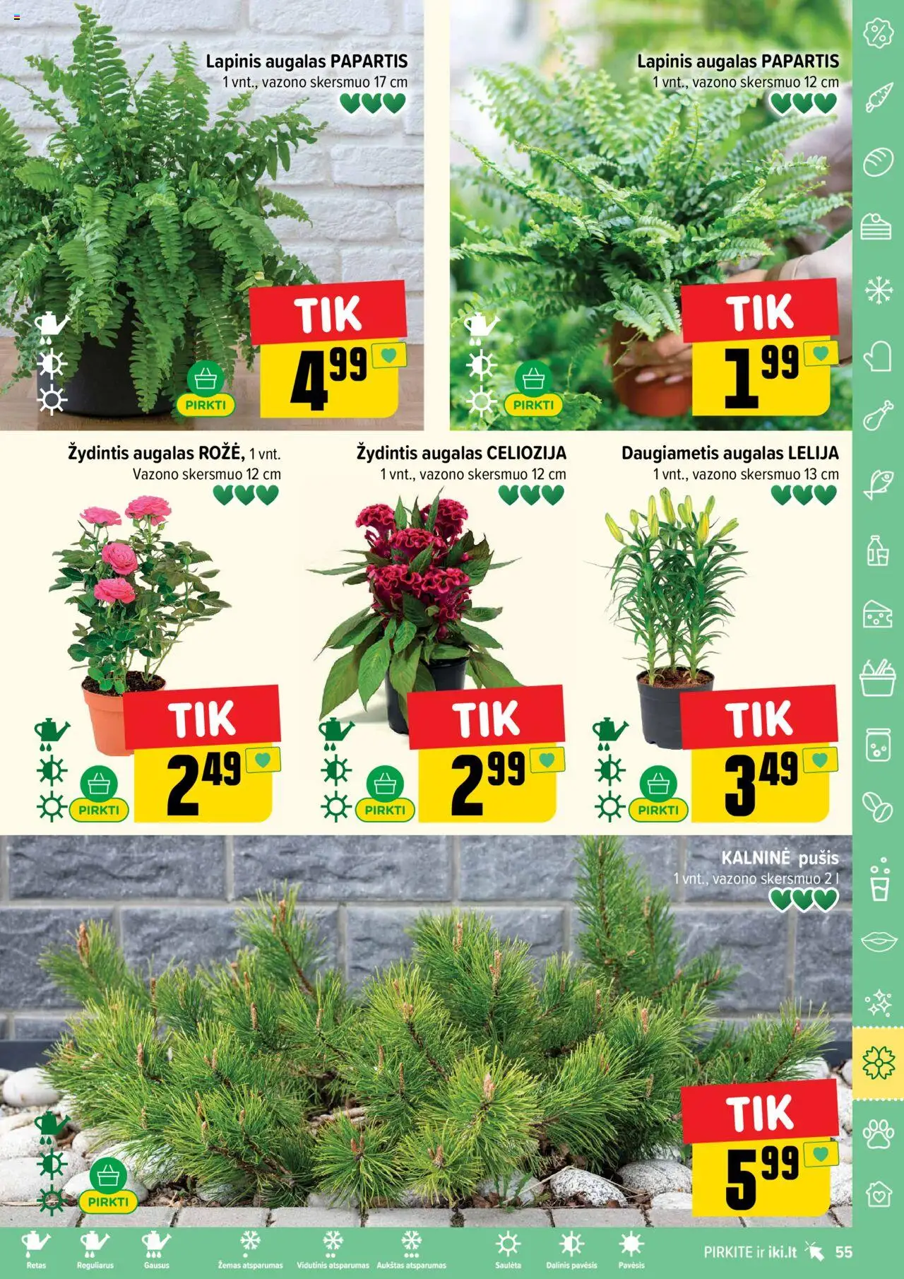 IKI leidinys│galioja nuo 16.06.2025 | Puslapis: 55