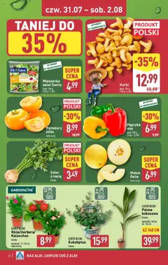 Aldi Gazetka od 28.07.2025 | Strona: 32 | Produkty: Melon, Rosliny, Kalanchoe, Pomidory