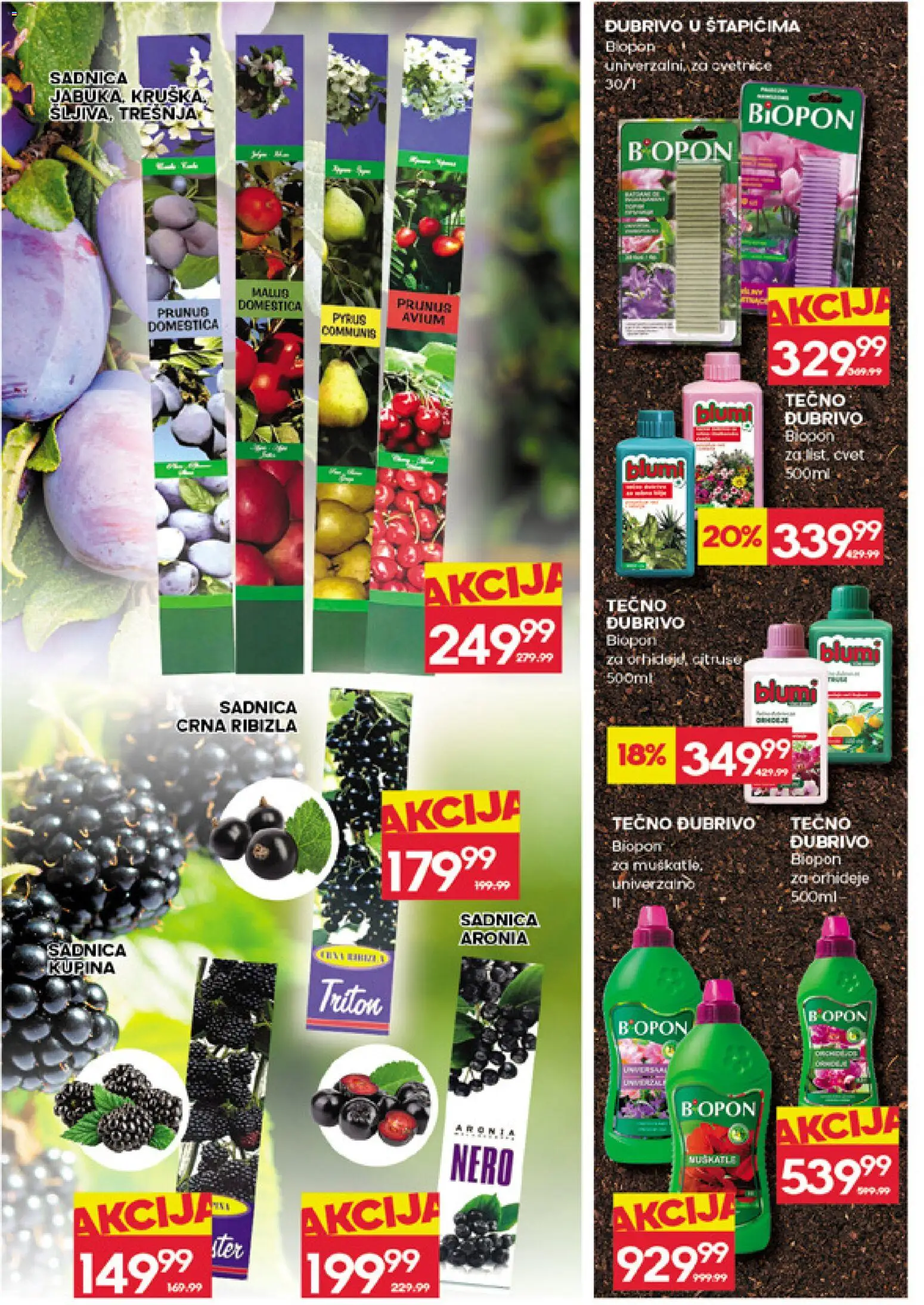 Roda katalog - važi od 19.03.2026 | Strana: 30