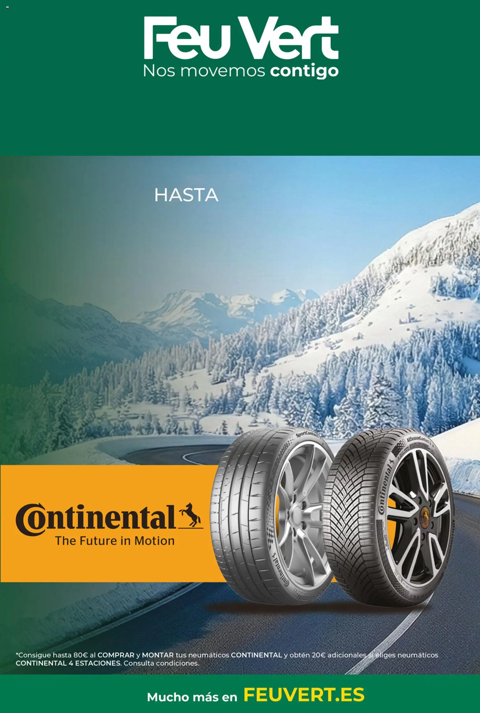 FeuVert folleto │ válido desde el 08.01.2026 | Página: 1