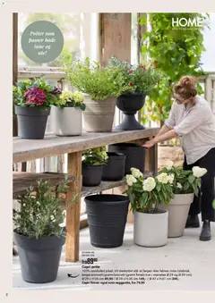 Forhåndsvisning av Europris Sommerkatalogen 2026 gyldig fra 24.03.2026 | Side: 12 | Produkter: Capri