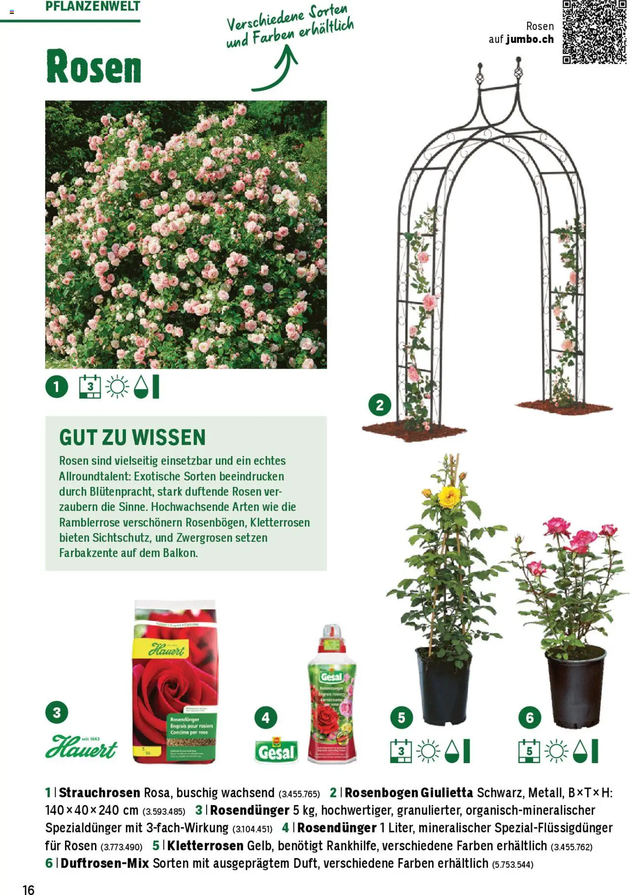Jumbo Aktionen Dein Garten 2025 ab 21.02.2025 | Seite: 16