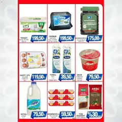 05.03.2026 tarihinden itibaren geçerli olan Furpa kataloğu önizlemesi | Sayfa: 3