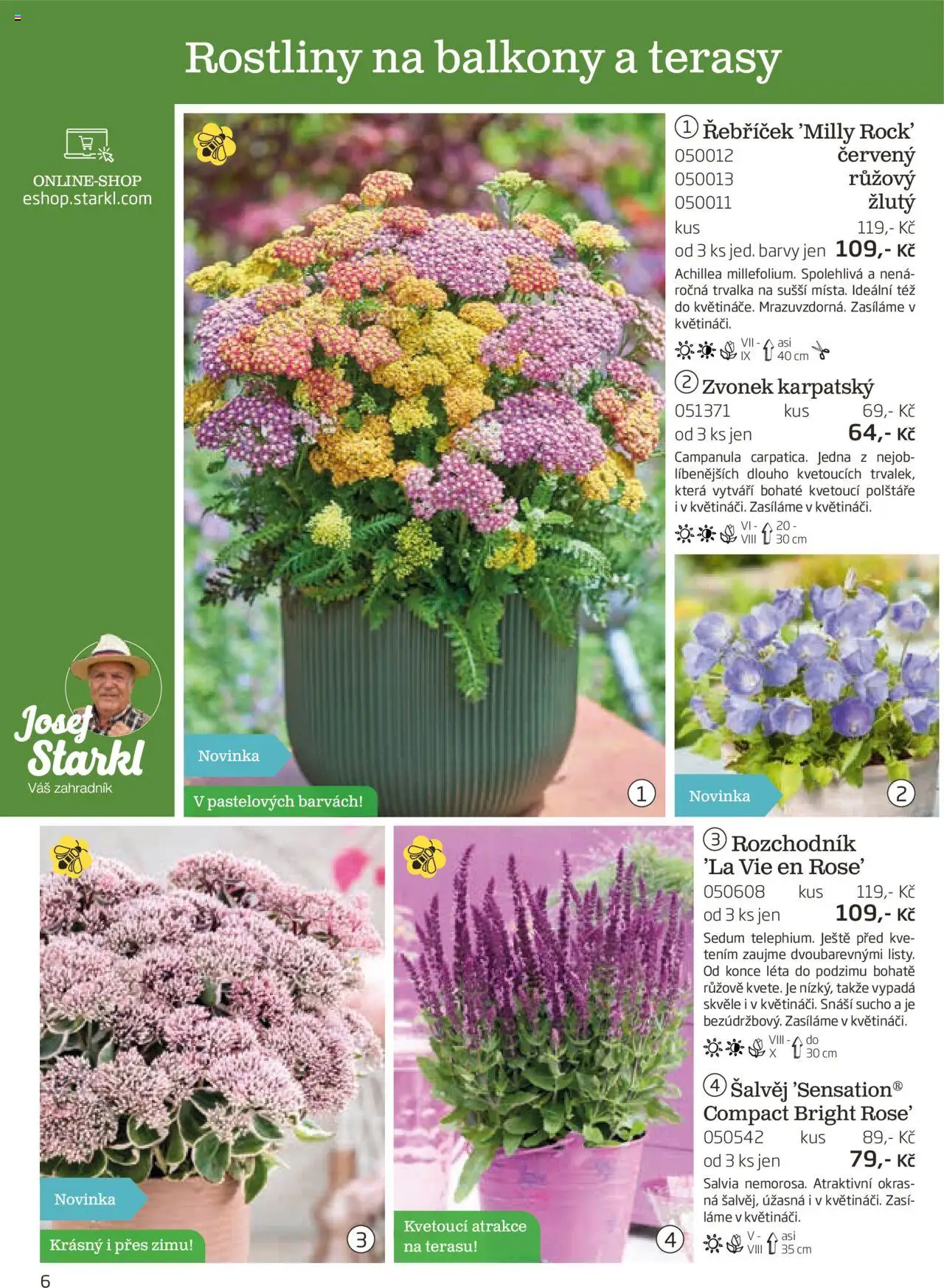 Starkl katalog podzim 2025 od 01.08.2025 | Strana: 6 | Produkty: Polštáře, Rostliny, Barvy, Zvonek