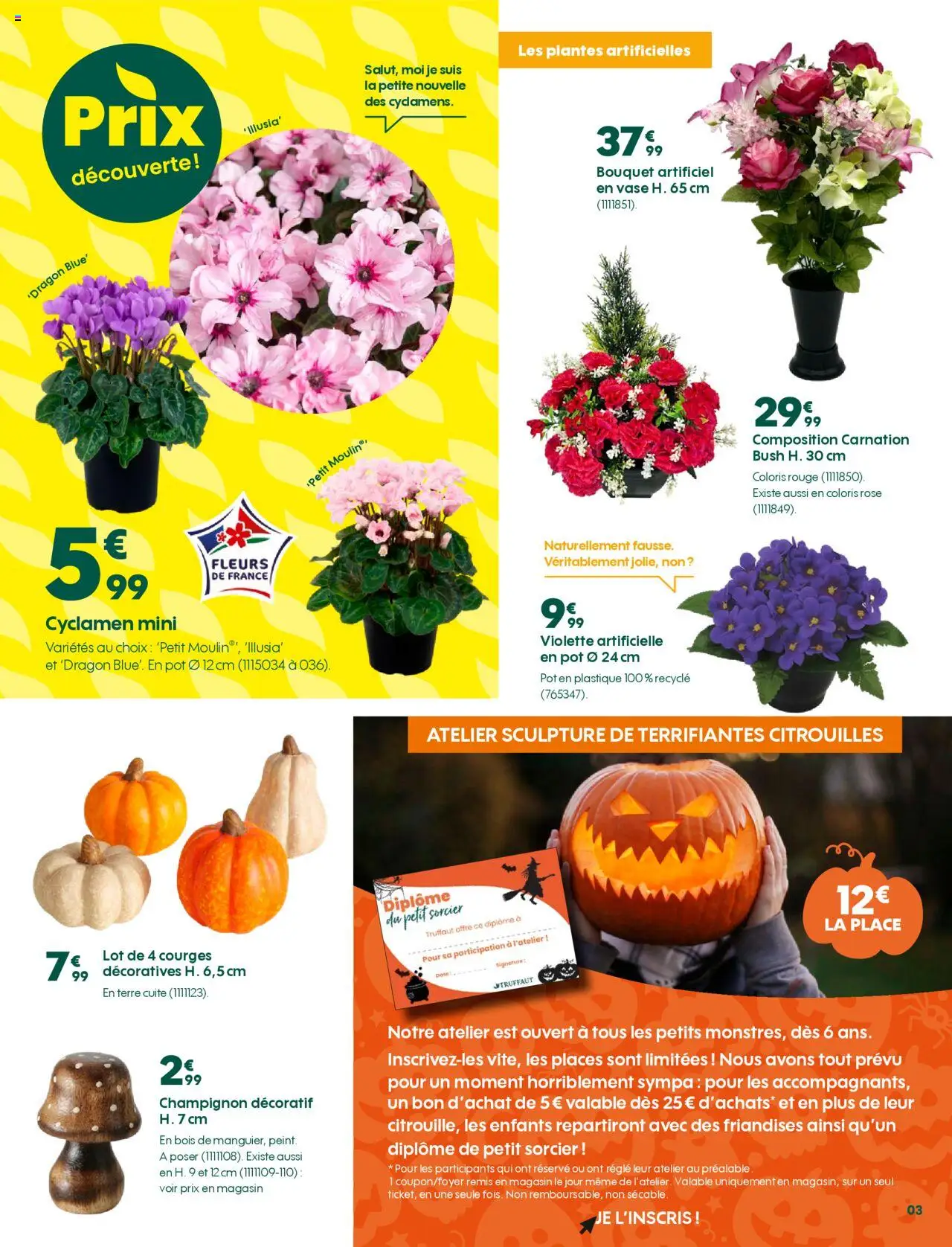 {H1} | Page: 3 | Produits: Règle, Plantes, Vase, Champignon