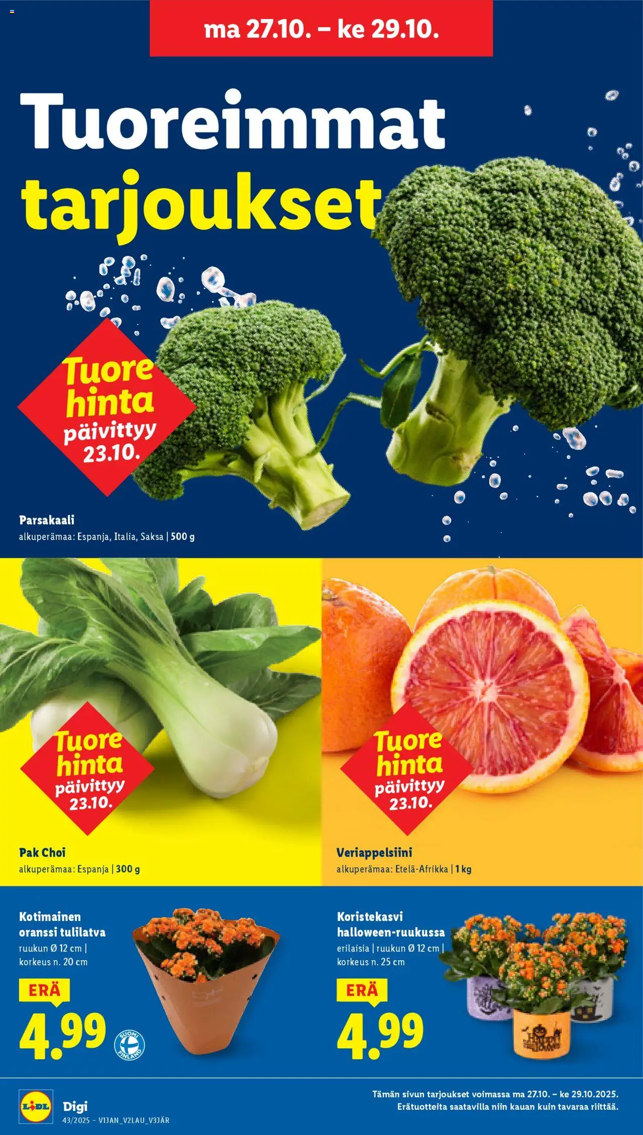 Lidl tarjoukset – voimassa 23.10.2025 alkaen | Sivu: 25 | Tuotteet: Veriappelsiini, Parsakaali