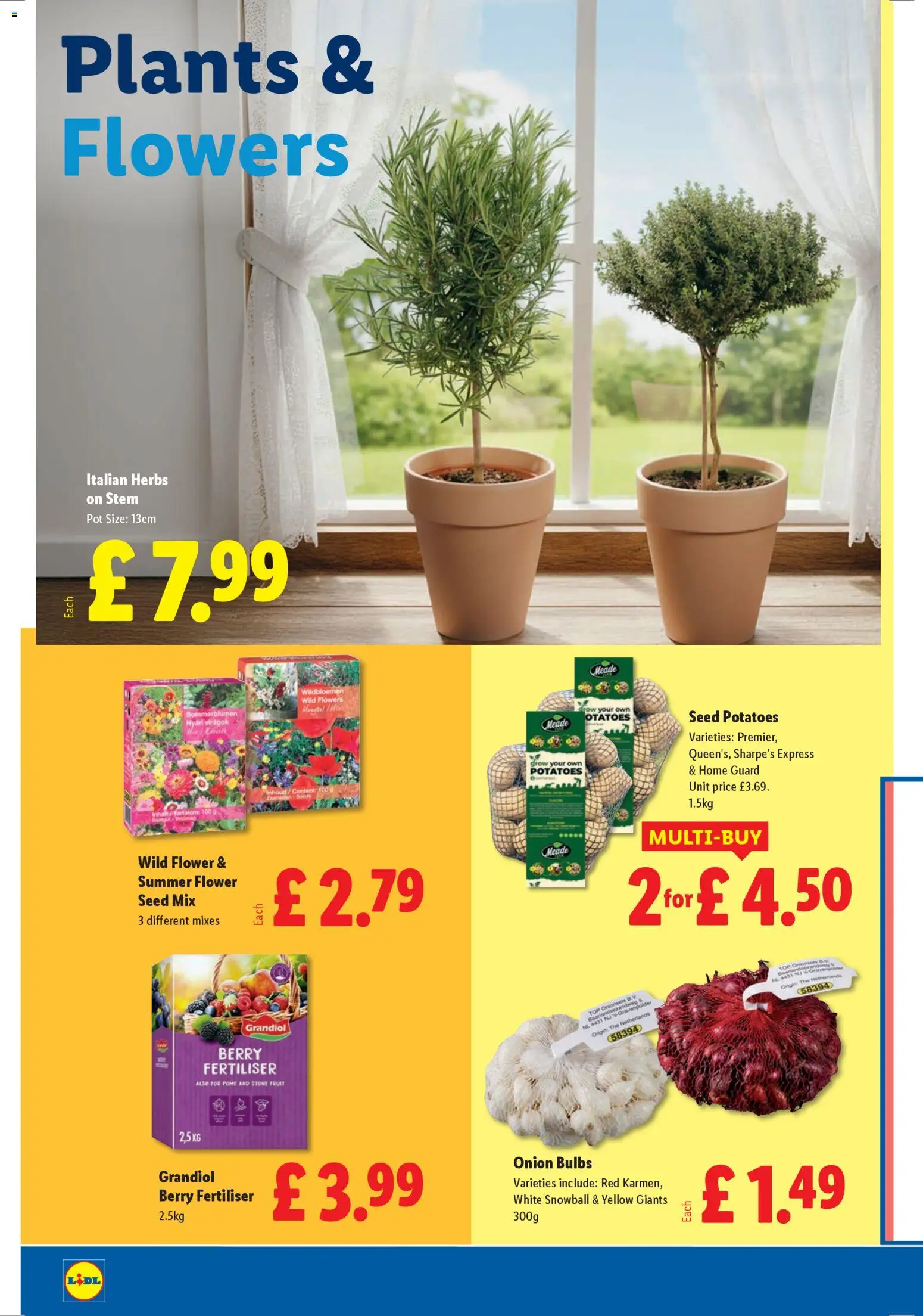 {H1} | Page: 22 | Products: Onion, Pot, Potatoes