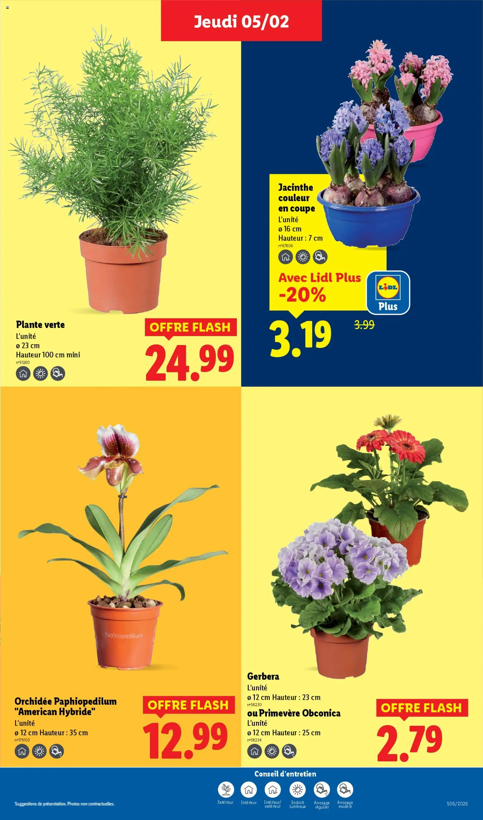 {H1} | Page: 31 | Produits: Plante verte, Orchidée