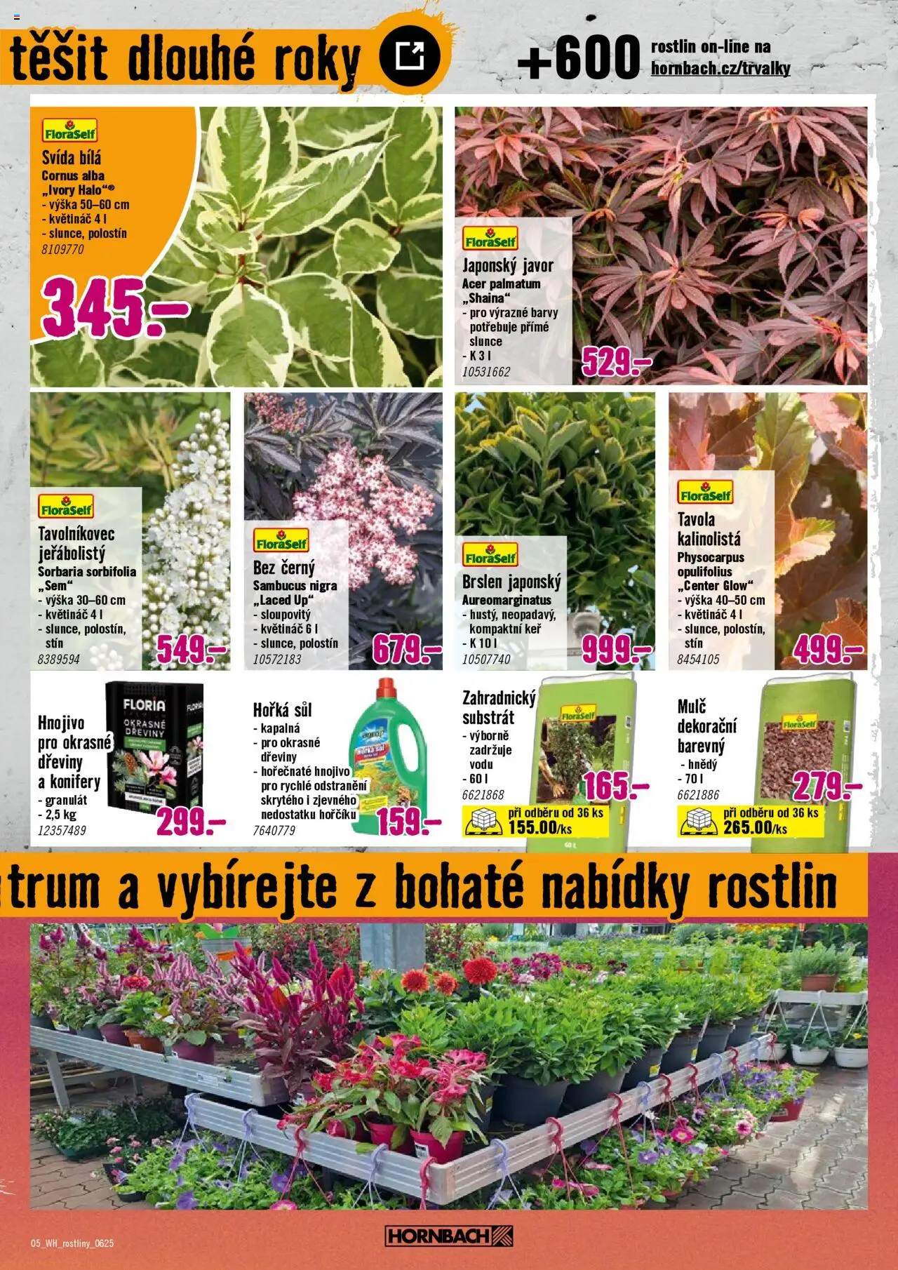 HORNBACH leták - Okrasné rostliny od 11.06.2025 | Strana: 5 | Produkty: Substrát, Hnojivo, Květináč, Barvy