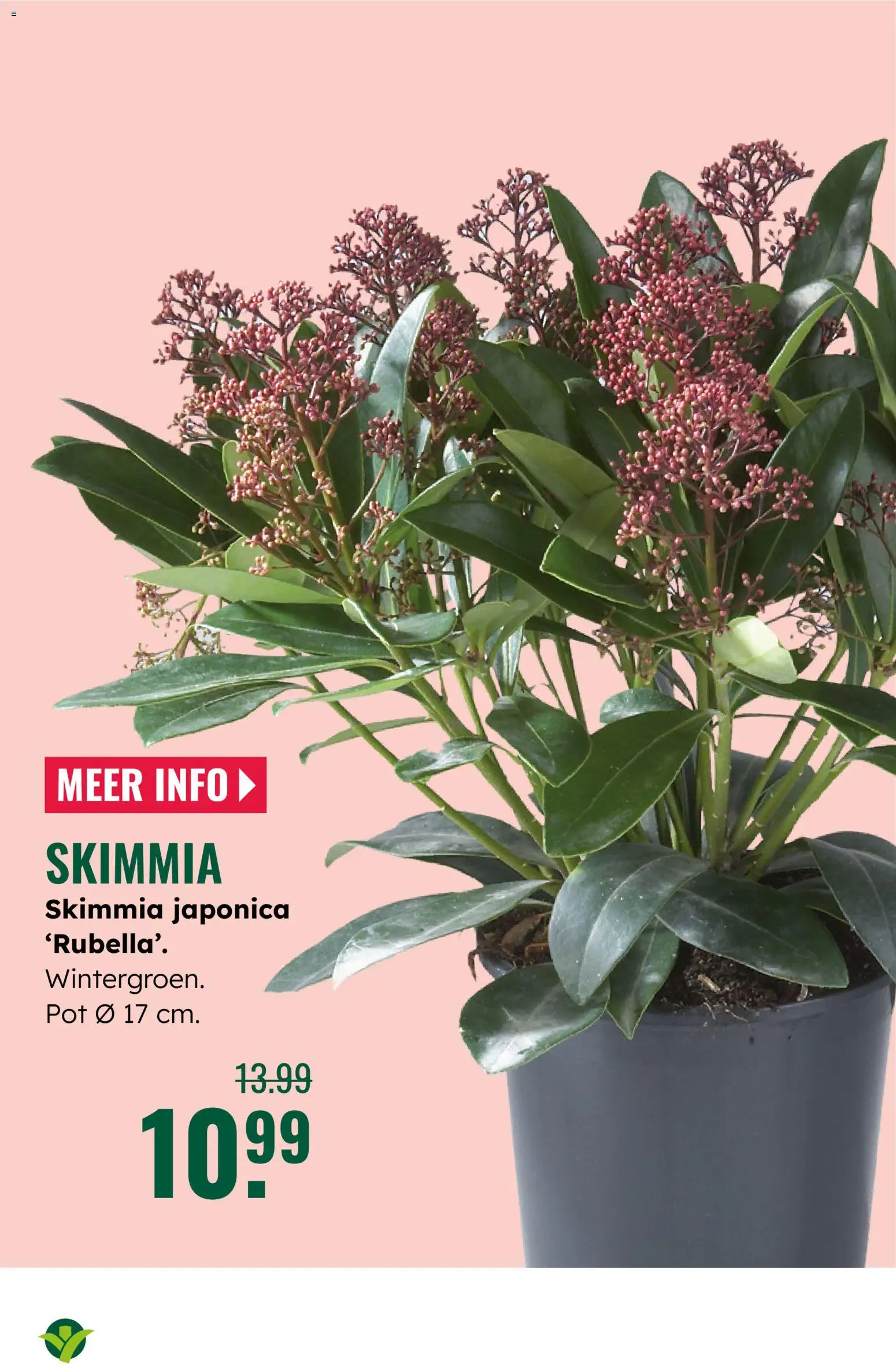 {H1} | Pagina: 5 | Producten: Pot