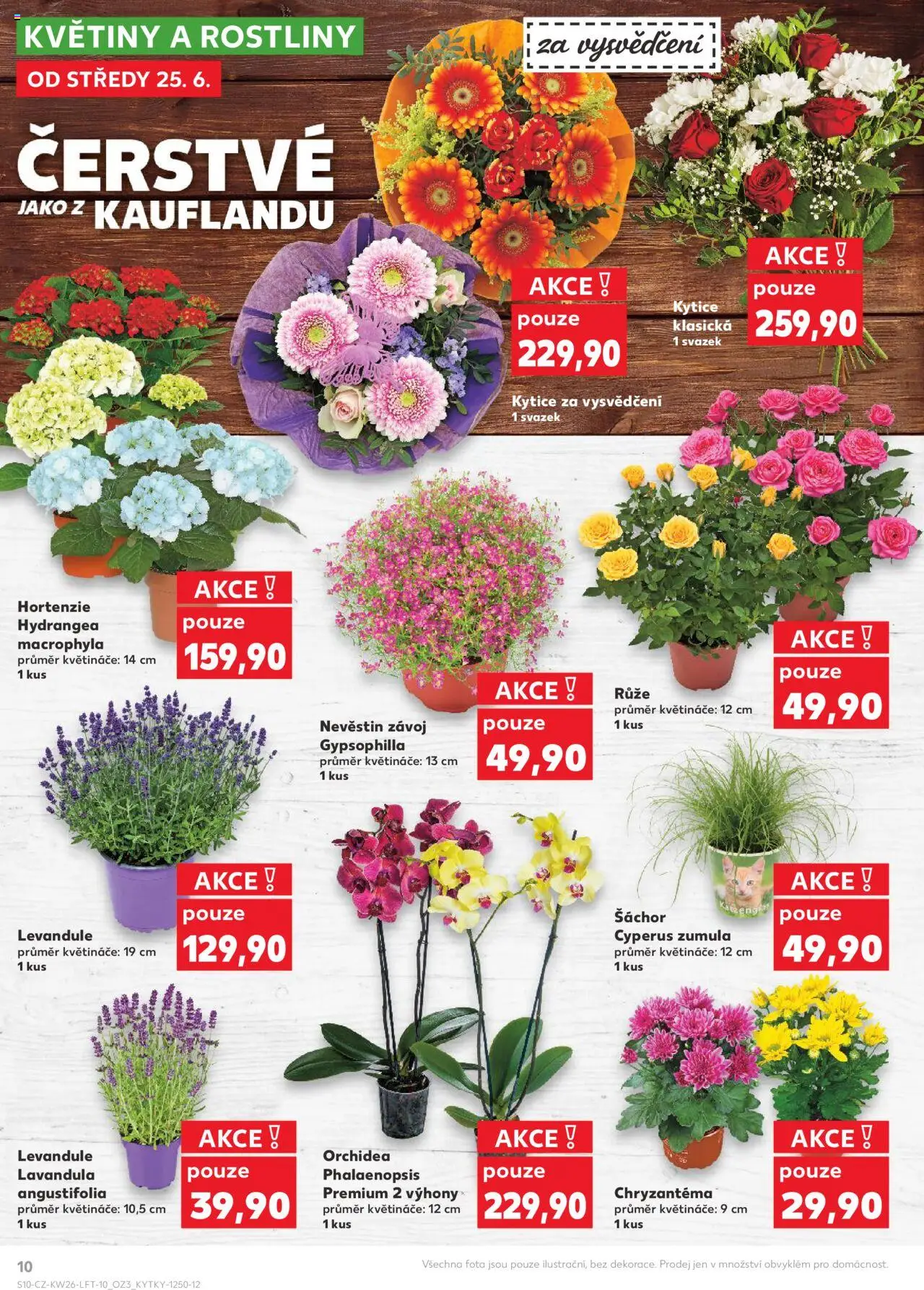 Kaufland leták od 25.06.2025 | Strana: 10 | Produkty: Květináče, Rostliny, Kytice, Květiny