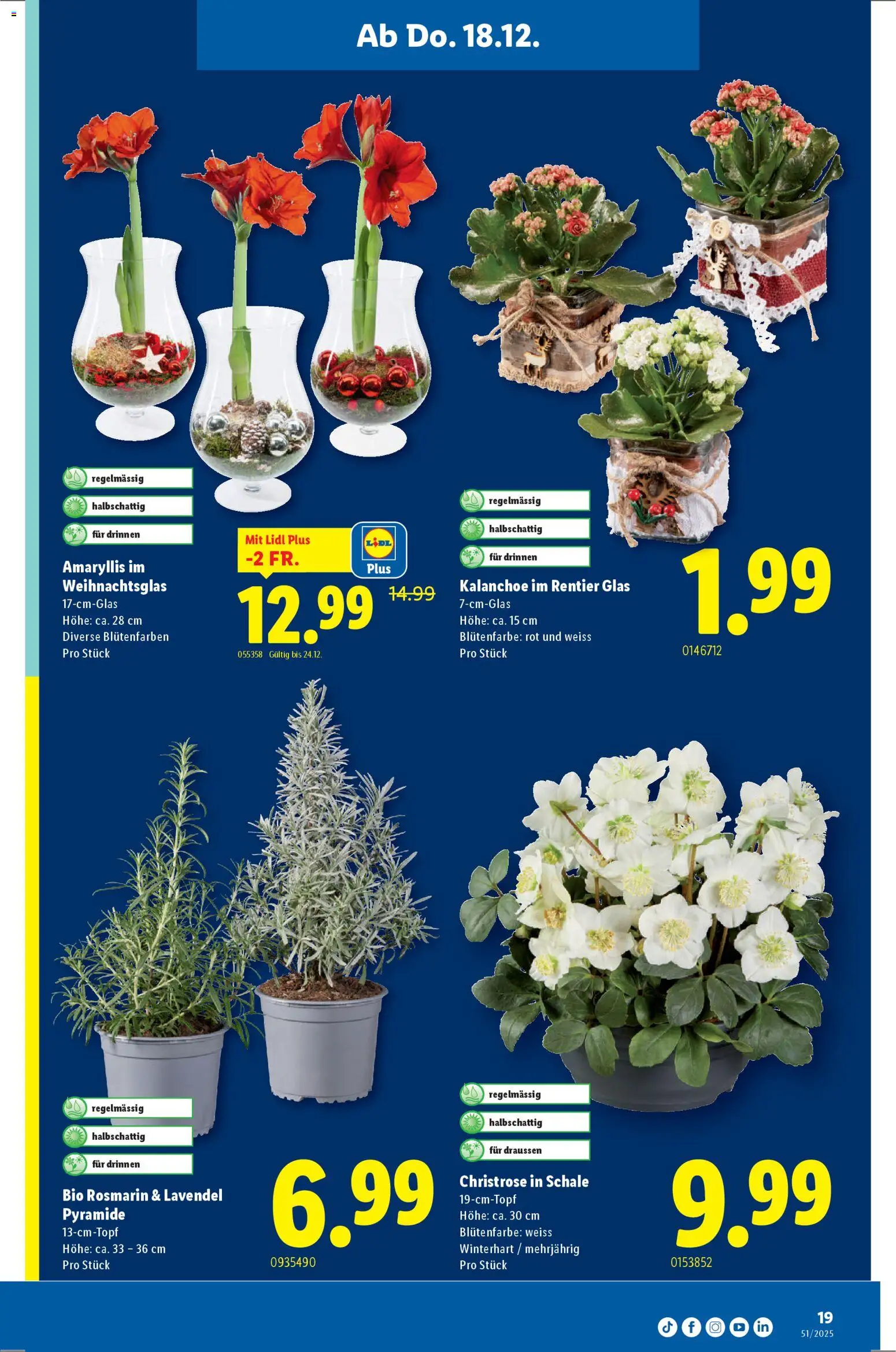 Lidl Aktionen – gültig ab 18.12.2025 | Seite: 19