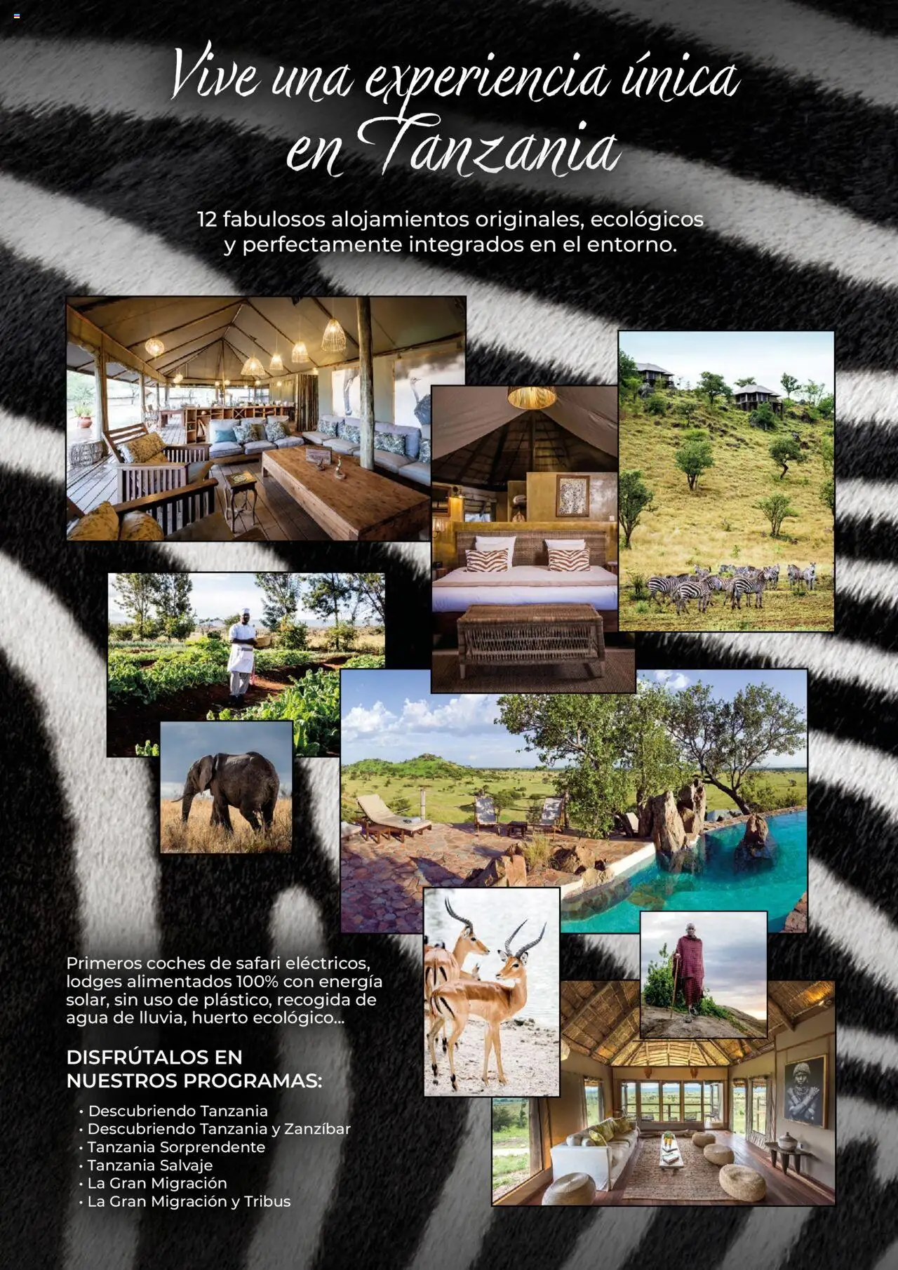 Viajes El Corte Inglés Africa y Oriente Medio │ válido desde el 01.01.2025 | Página: 35