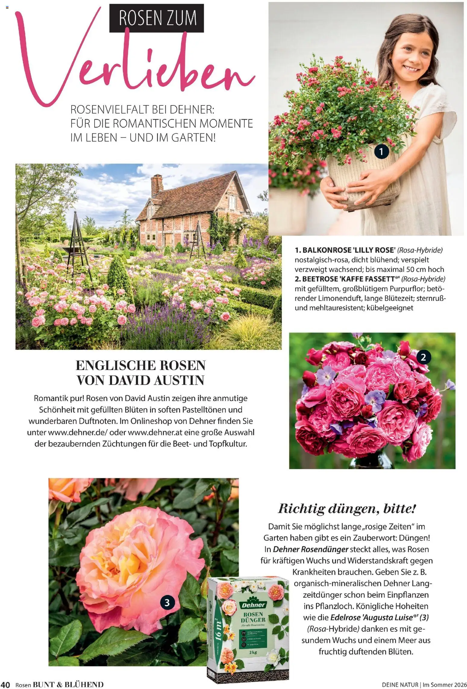 Dehner Prospekt 	 – gültig ab 17.04.2026 | Seite: 40