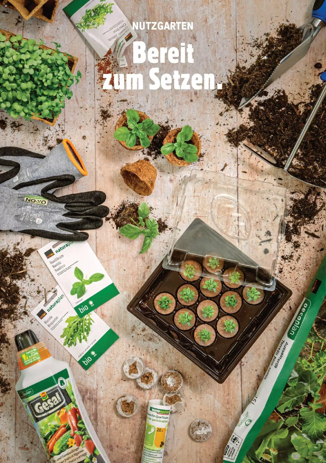 Jumbo Aktionen Dein Garten 2025 ab 21.02.2025 | Seite: 32 | Produkte: Rucola