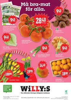 SALLADSLÖK I KNIPPE, EGYPTEN MAROCKO Klass 1 - Förhandsvisning av reklamblad från butik Willys aktuell från 23.03.2026 | Sida: 12