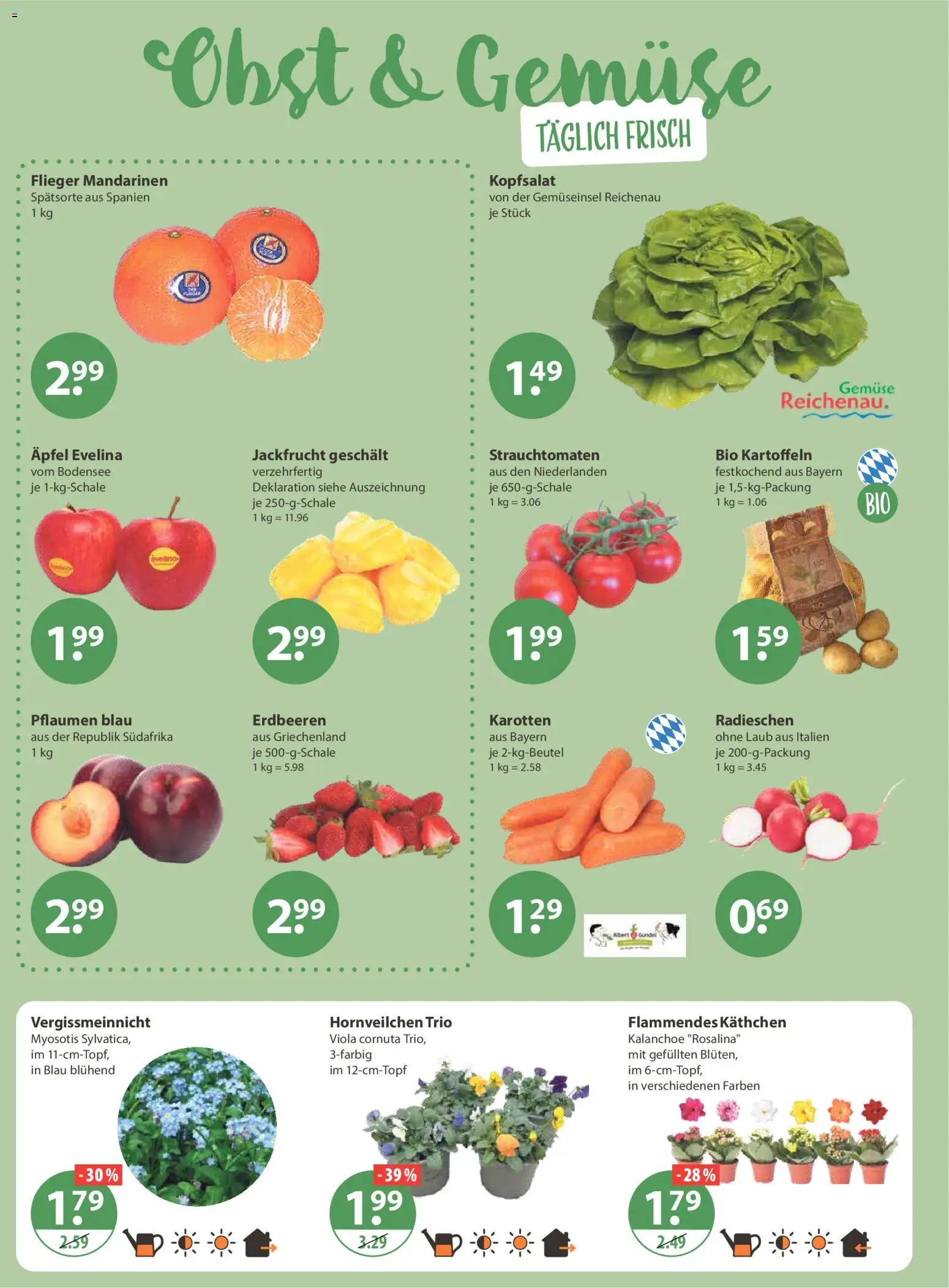 V-Markt - Hallertau / Oberpfalz – gültig ab 26.02.2026 | Seite: 4 | Produkte: Pflaumen, Äpfel, Kartoffeln, Erdbeeren