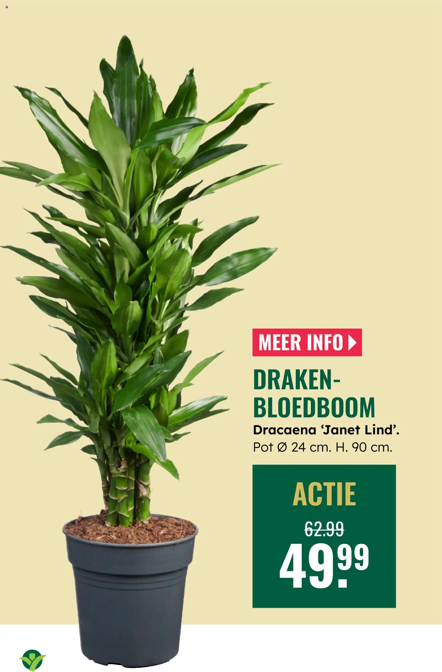 {H1} | Pagina: 8 | Producten: Pot