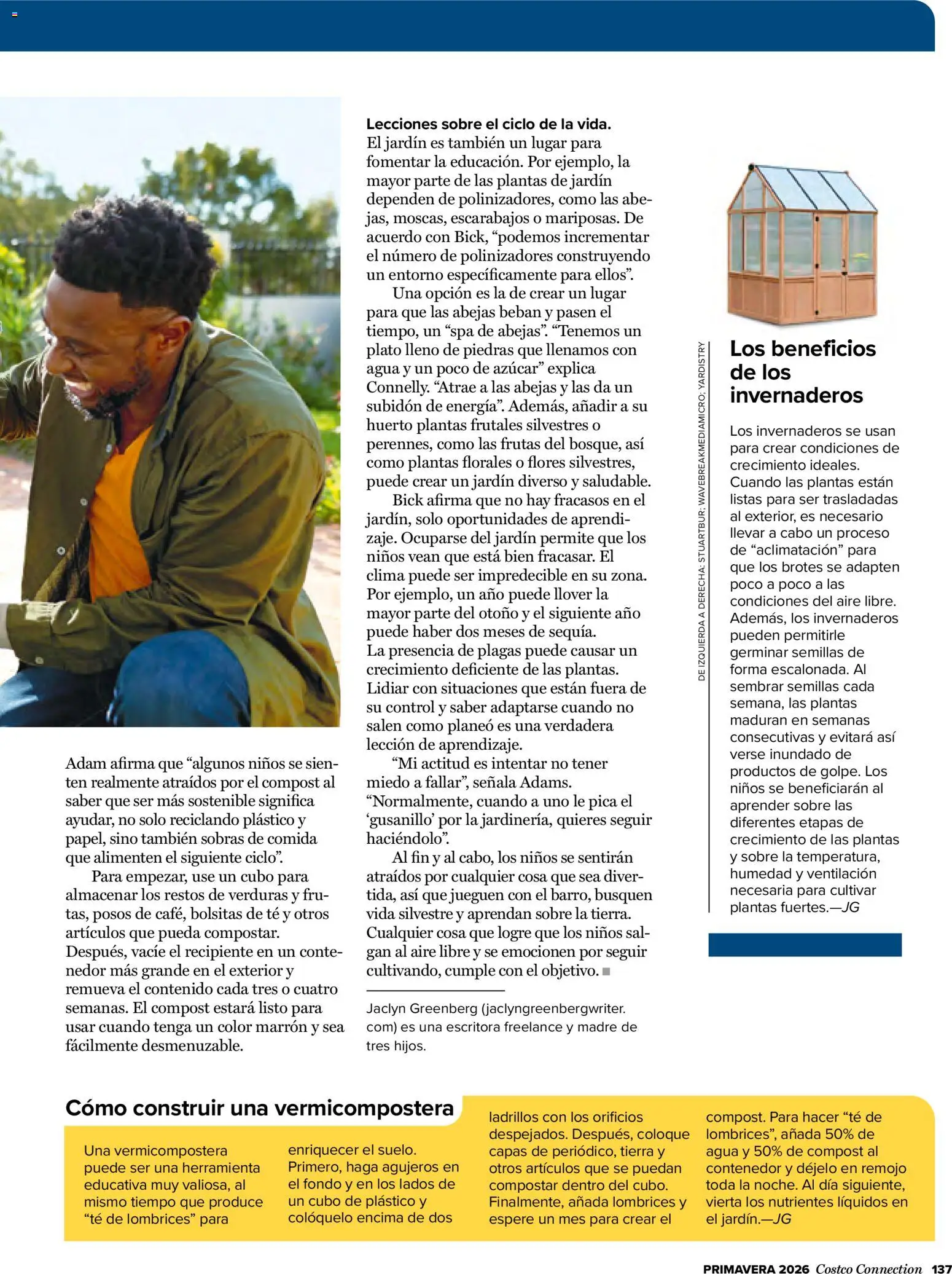 Costco catálogo │ válido desde el 19.03.2026 | Página: 137 | Productos: Té