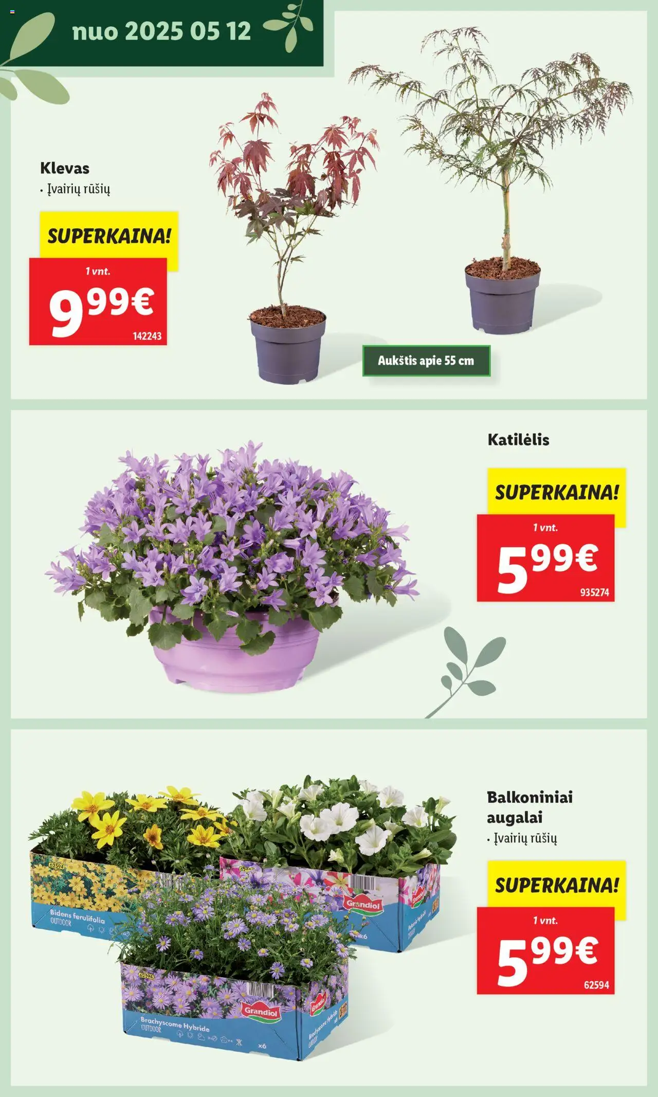 LIDL leidinys - Švenčiame sodą│galioja nuo 12.05.2025 | Puslapis: 10
