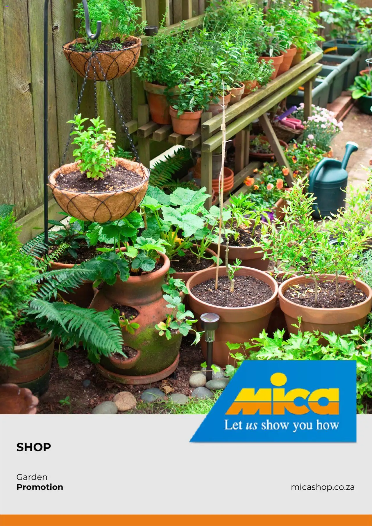 MICA Specials │ valid from 12.08.2025 | Page: 1