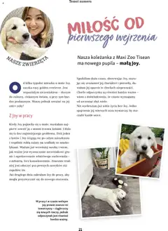 Maxi Zoo Gazetka - Magazyn od 01.05.2025 | Strona: 21