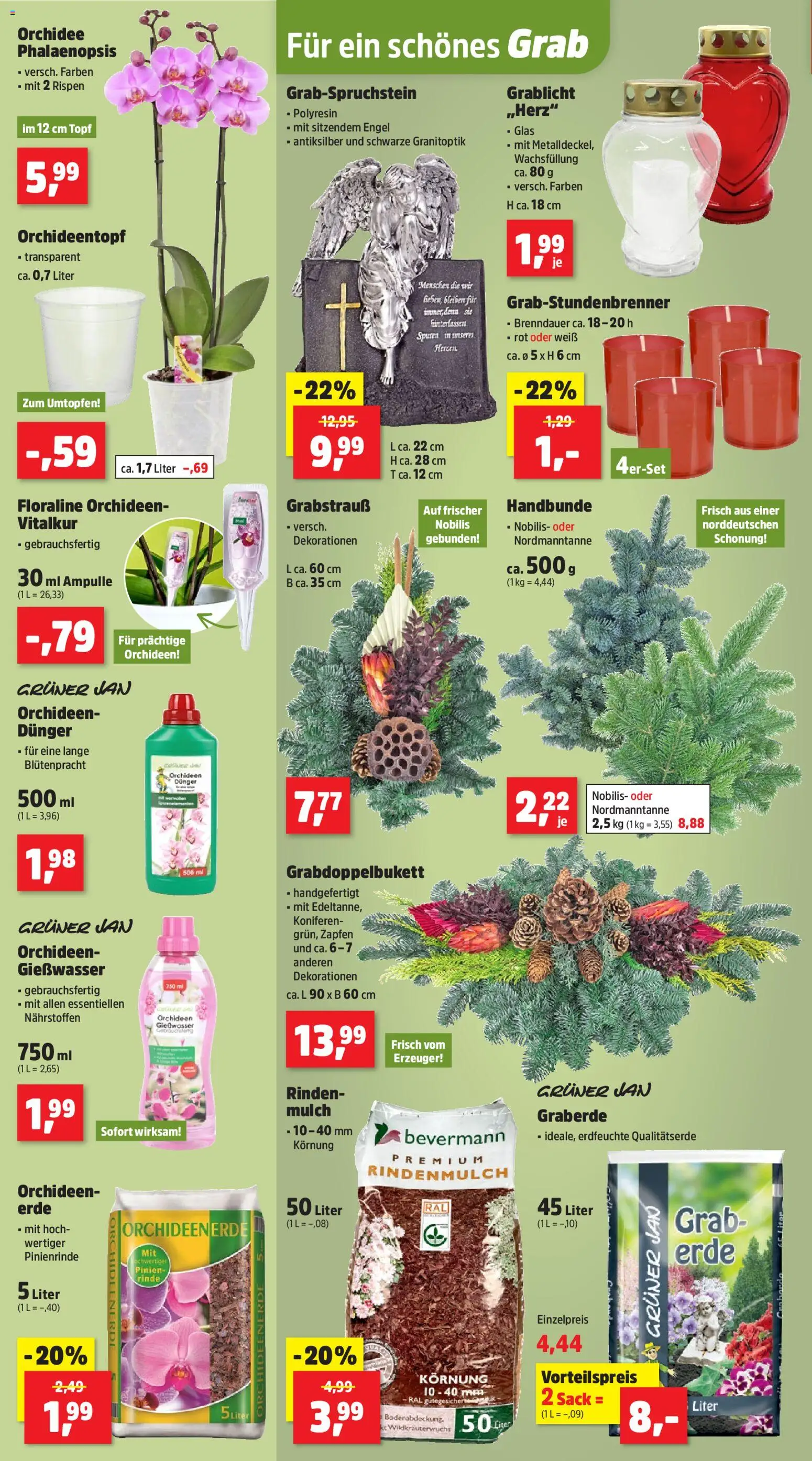 Thomas Philipps Prospekt – gültig ab 27.10.2025 | Seite: 2 | Produkte: Rindenmulch, Orchidee