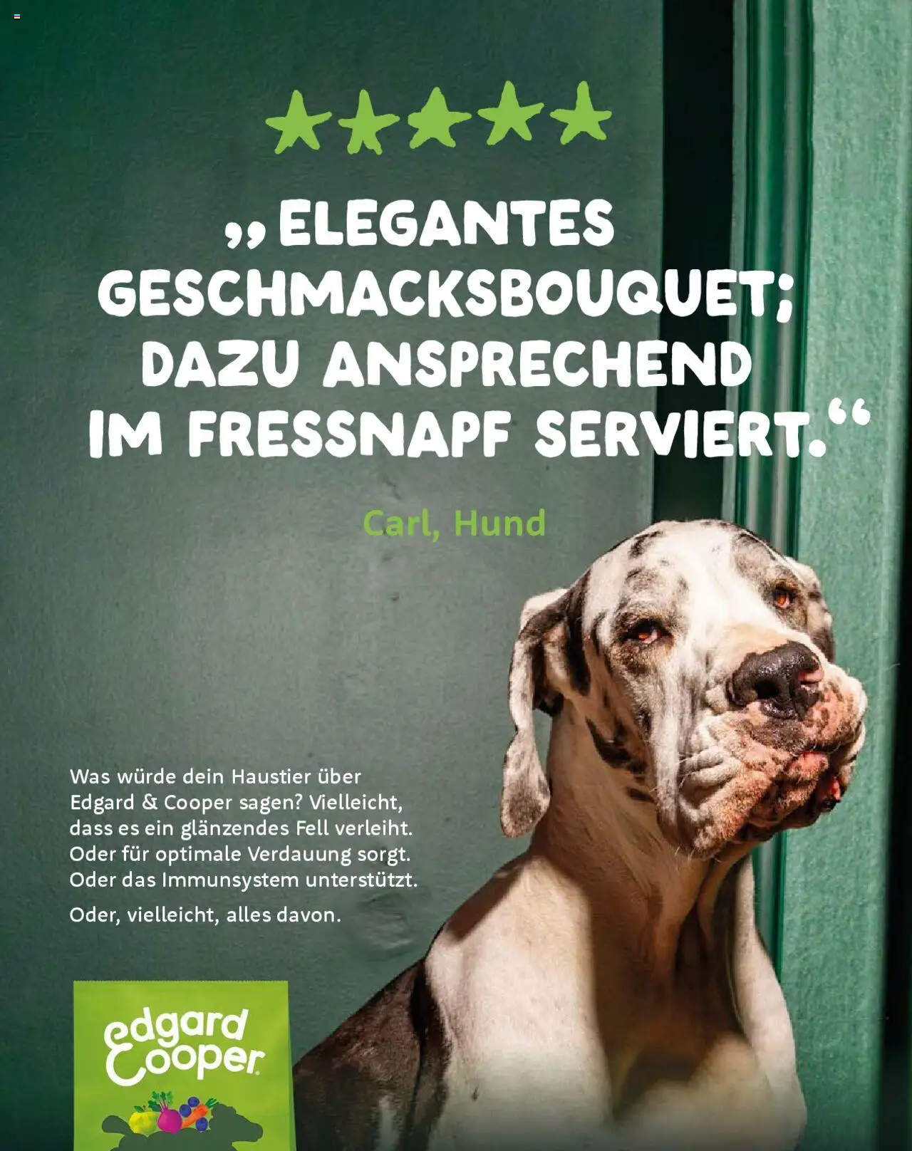 Fressnapf Magazin ab 01.07.2025 | Seite: 45