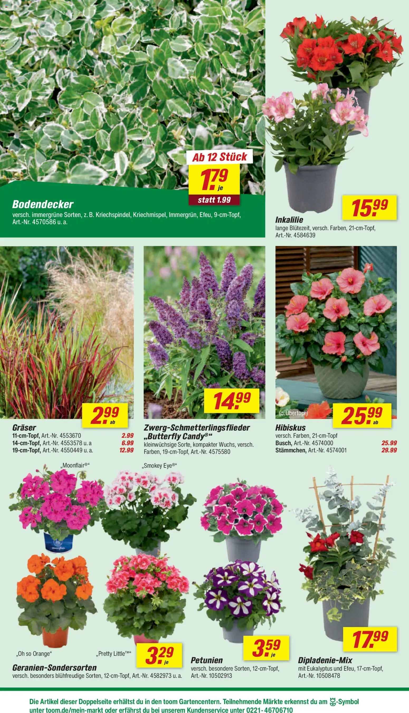 Toom Baumarkt Prospekt 	 – gültig ab 02.05.2026 | Seite: 10