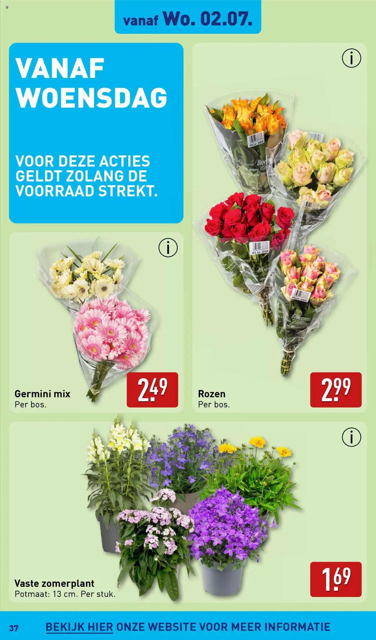  | Pagina: 37 | Producten: Bloemen
