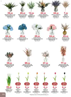 Pogląd oferty "Bodzio Katalog" - ważna od 01.04.2026 | Strona: 206 | Produkty: Róż, Tulipany, Kwiaty