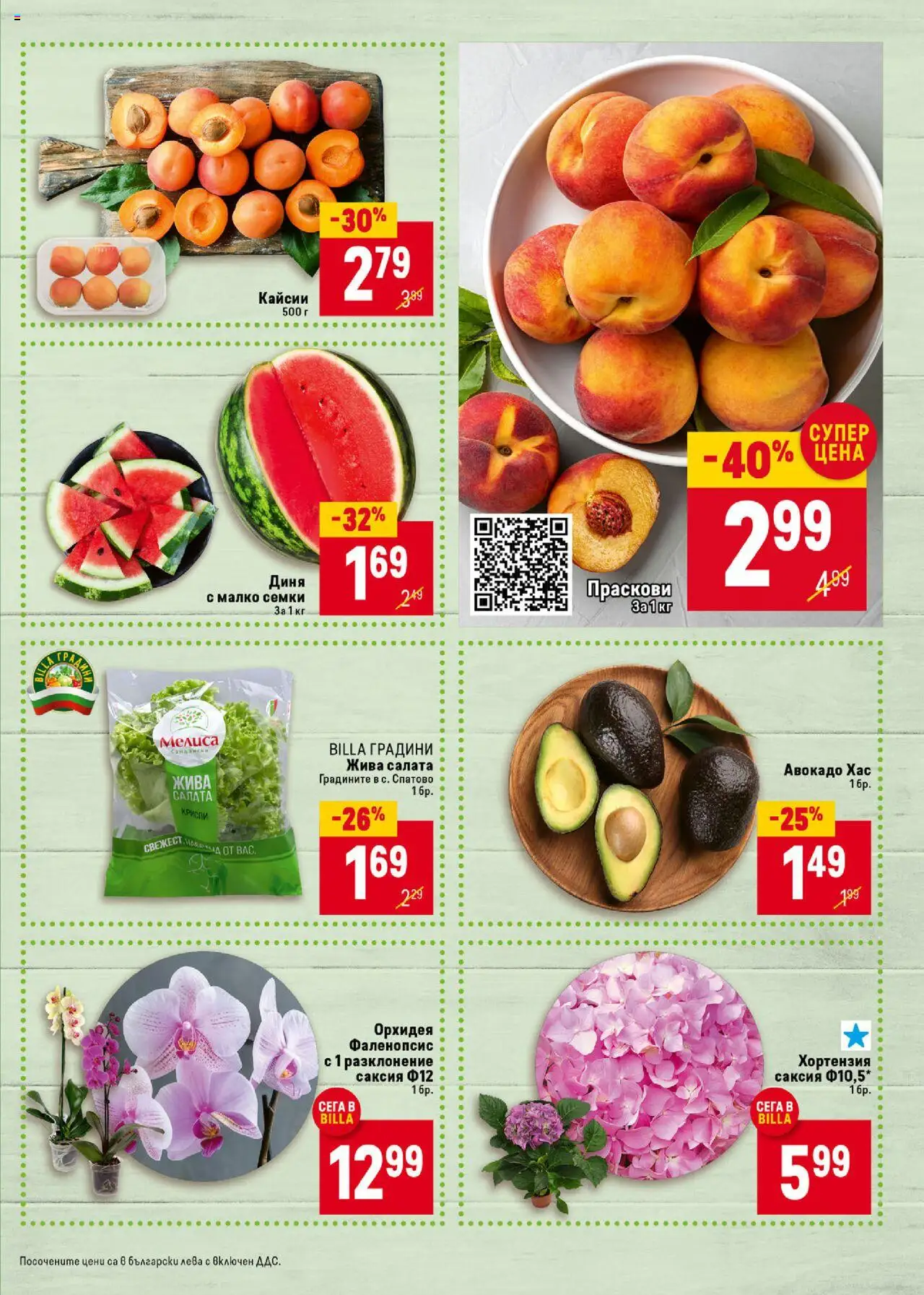  | Страница: 7 | Продукти: Салата, Орхидея, Кайсии, Саксия