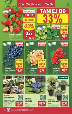 Aldi Gazetka od 21.07.2025 | Strona: 30 | Produkty: Kalatea, Agrest, Doniczki, Truskawki
