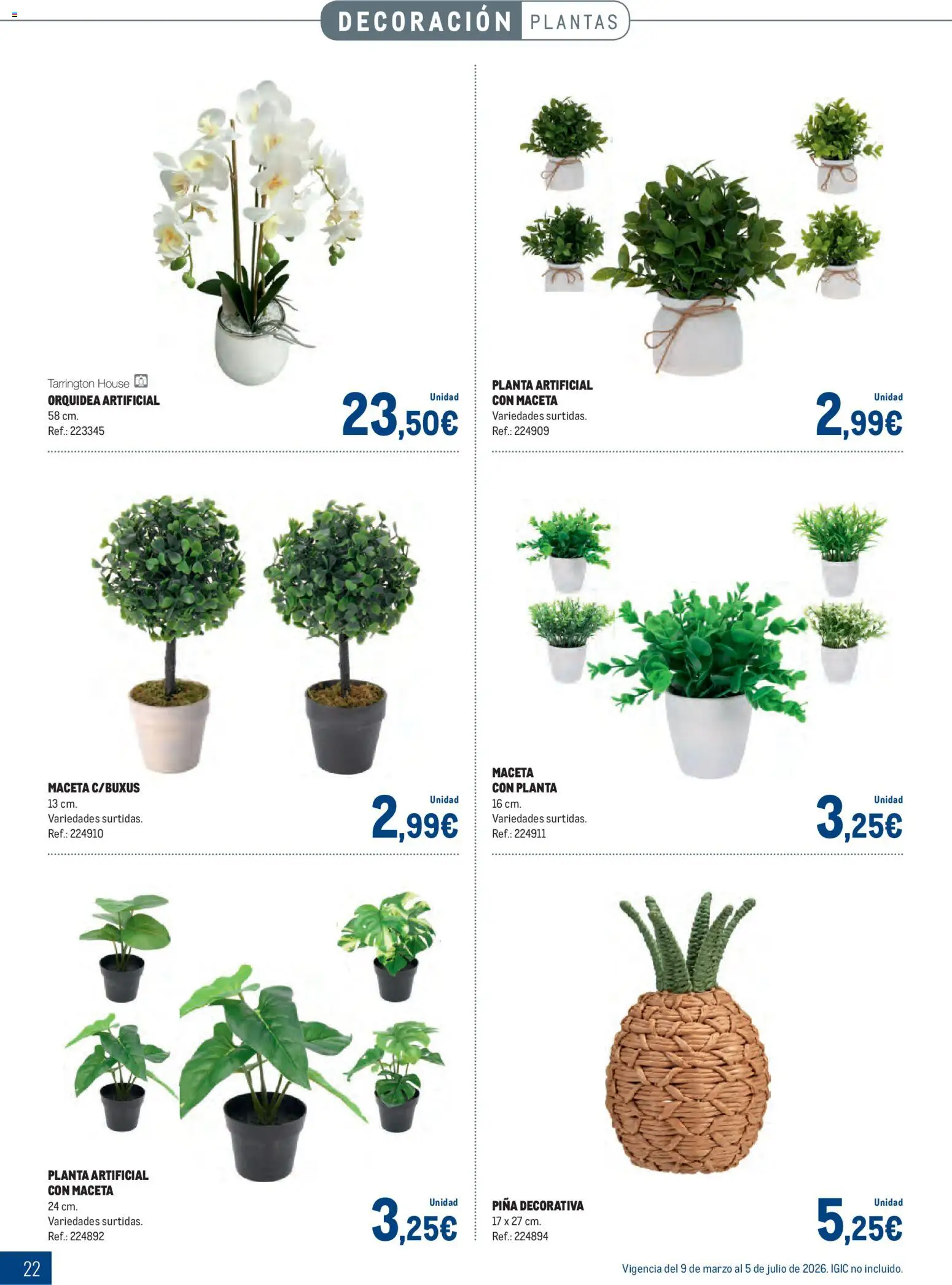 Makro - Especial Terrazas Canarias │ válido desde el 09.03.2026 | Página: 22 | Productos: Piña, Αγκινάρα, Planta artificial, Maceta
