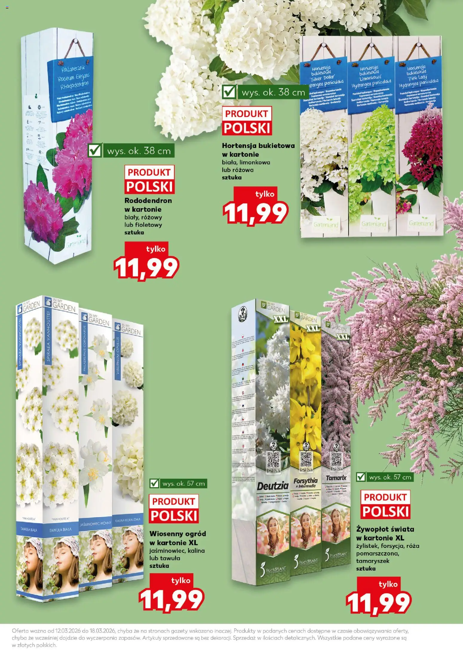 Kaufland Polsko leták - Wiosenne inspiracje od 12.03.2026 | Strana: 11 | Produkty: Pink Lady