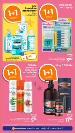  | Pagina: 13
