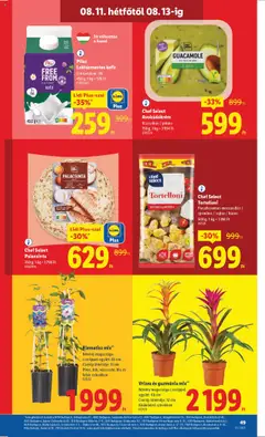 Lidl akciós ujság - amely érvényes a következő dátumtól: 07.08.2025 | Oldal: 49 | Termékek: Mozzarella, Kefir, Guacamole, Vegán