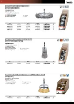 Anteprima del volantino Einhell Elettroutensili catalogo valido a partire dal 10.10.2025 | Pagina: 147 | Prodotti: Spazzola, Pennello, Trapano, Disco