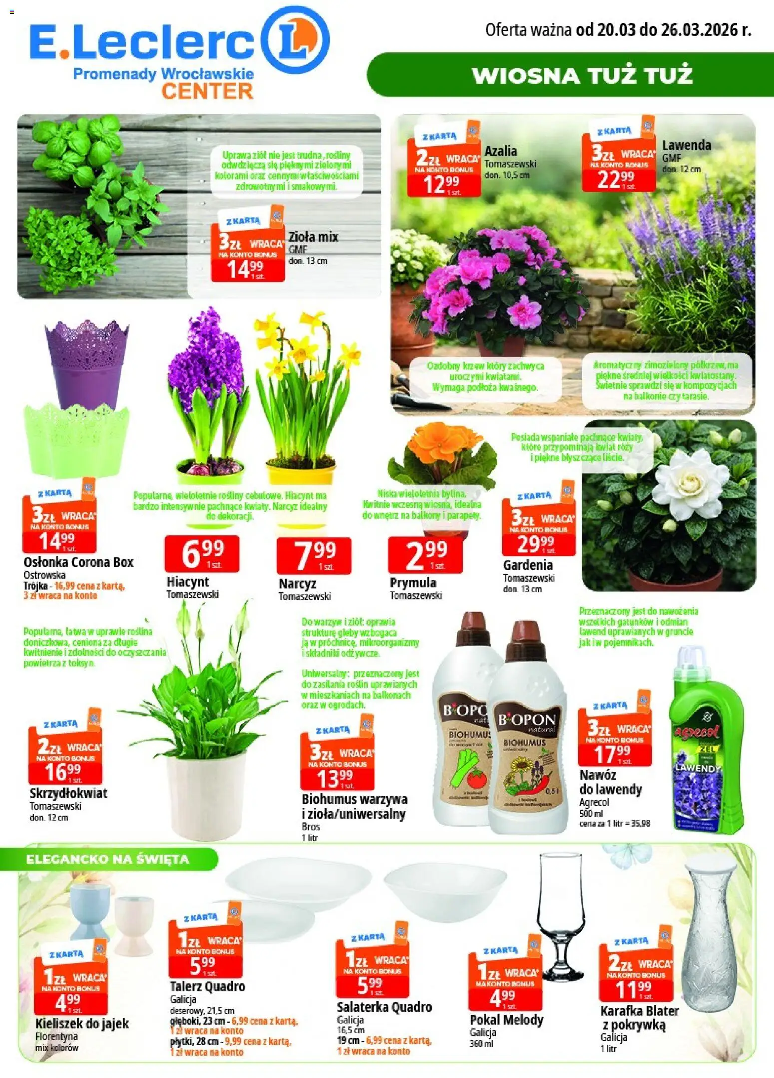 E.Leclerc gazetka - Wrocław od 20.03.2026 | Strona: 2 | Produkty: Karta, Azalia, Rosliny, Kwiaty