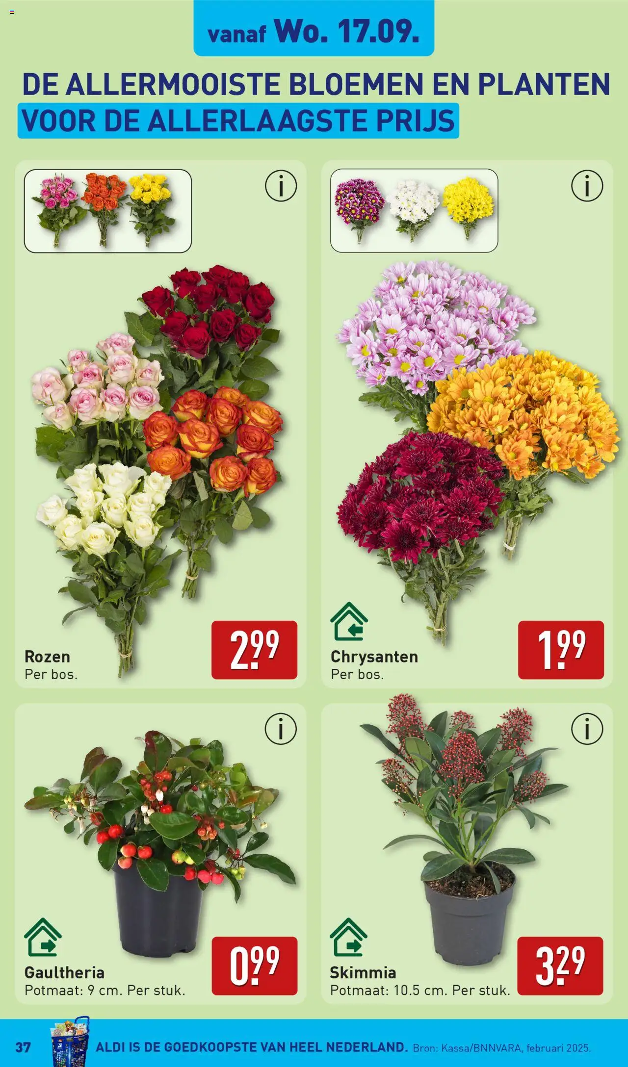  | Pagina: 37 | Producten: Bloemen